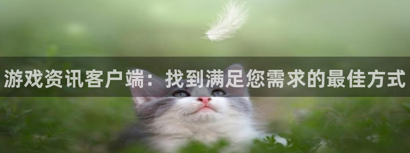 辉达娱乐网页登录入口：游戏资讯客户端：找到满足您需求的最佳方