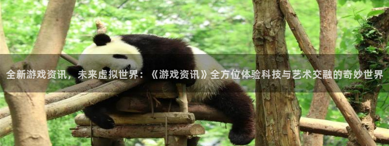 辉达娱乐注册开户：全新游戏资讯，未来虚拟世界：《游戏资讯》全