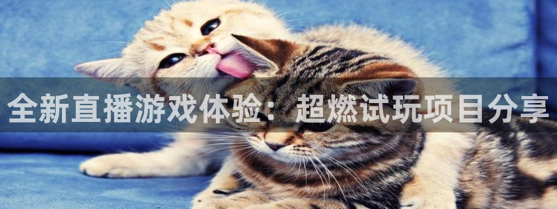 辉达娱乐注册登录平台：全新直播游戏体验：超燃试玩项目分享
