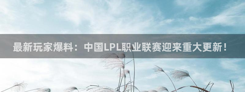 辉达娱乐娱乐：最新玩家爆料：中国LPL职业联赛迎来重大更新！