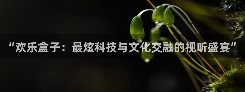 辉达娱乐怎么注册：“欢乐盒子：最炫科技与文化交融的视听盛宴”