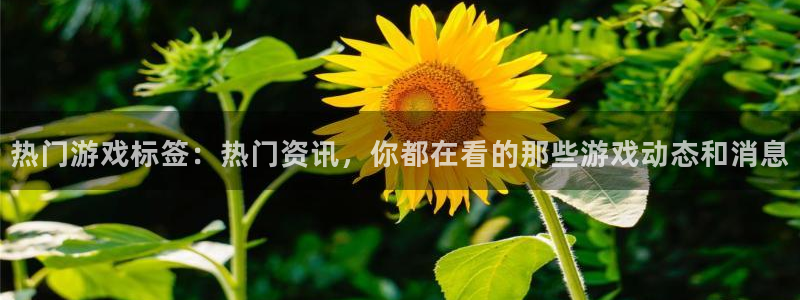 手机辉达娱乐下载安装：热门游戏标签：热门资讯，你都在看的那些