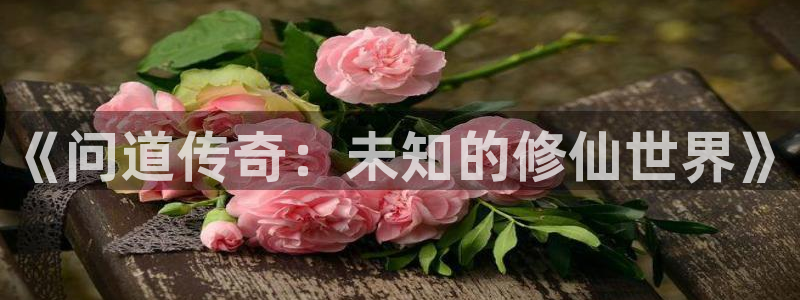 辉达娱乐娱乐是真的吗：《问道传奇：未知的修仙世界》
