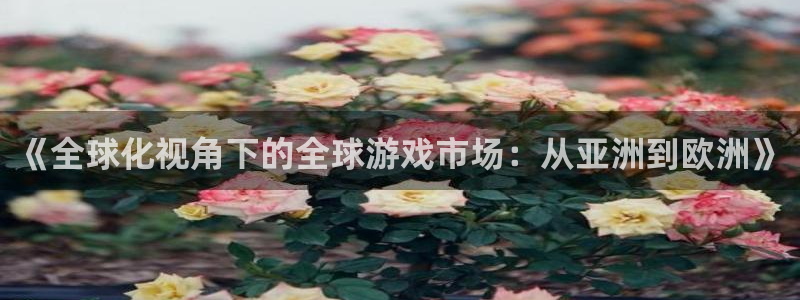 辉达娱乐平台登录：《全球化视角下的全球游戏市场：从亚洲到欧洲