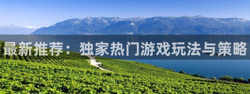 辉达娱乐开户测速：最新推荐：独家热门游戏玩法与策略