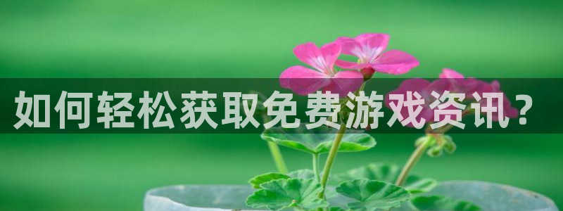 辉达娱乐的意思:如何轻松获取免费游戏资讯?