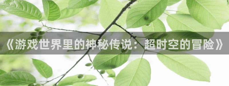 辉达娱乐平台注册：《游戏世界里的神秘传说：超时空的冒险》