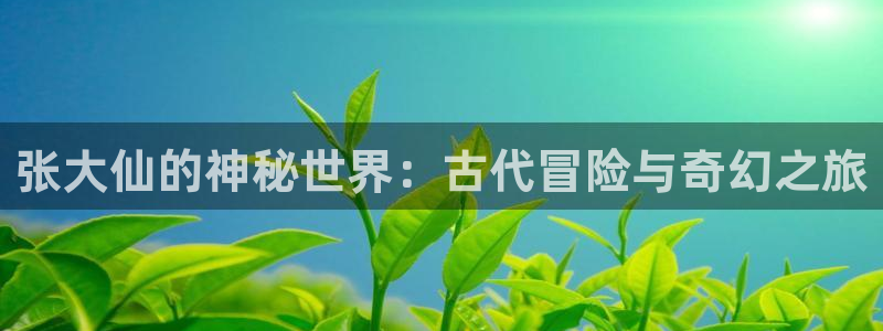 辉达娱乐平台登录：张大仙的神秘世界：古代冒险与奇幻之旅