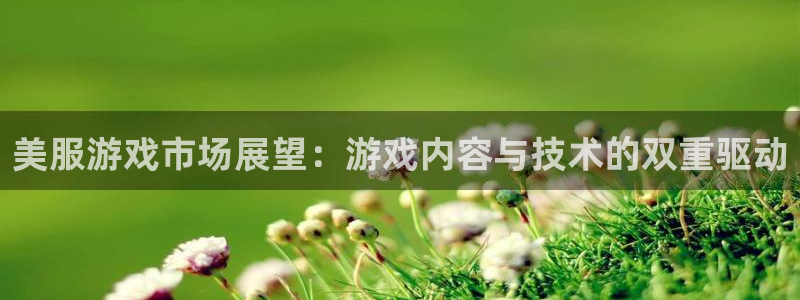 辉达娱乐测速：美服游戏市场展望：游戏内容与技术的双重驱动